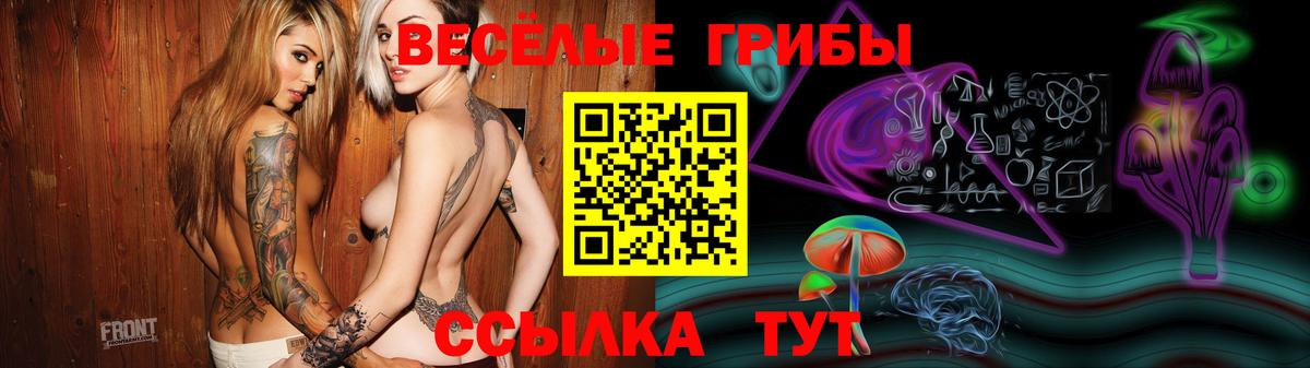 Псилоцибиновые грибы Psilocybe  Псилоцибиновые грибы Psilocybe  Вход с VPN  Улан-Удэ 